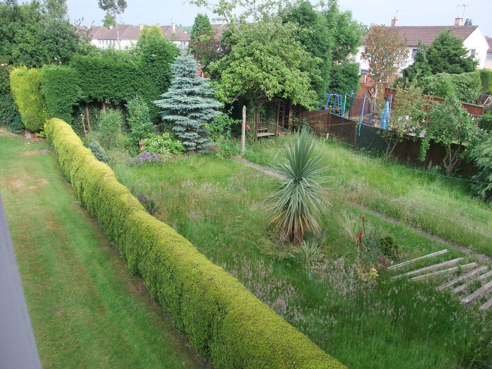 dscf6418.jpg